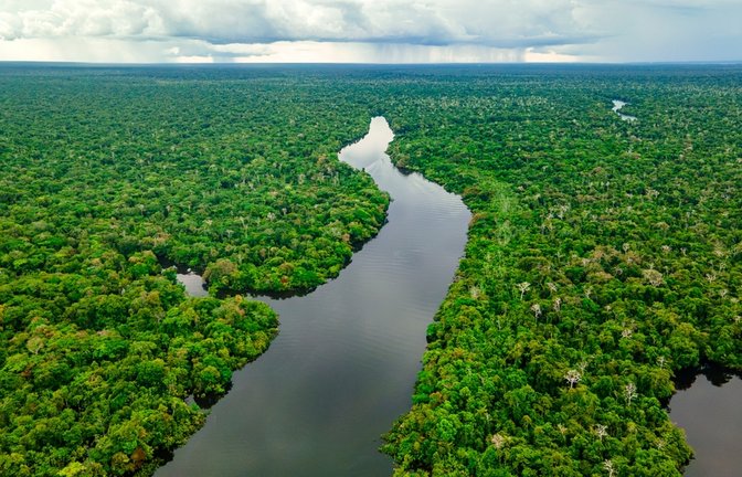 Staffel 5 von "7 vs. Wild" bringt die Teilnehmer offenbar in den Amazonas.<span class='image-autor'>Foto: Jhampier Giron M/ Shutterstock</span>
