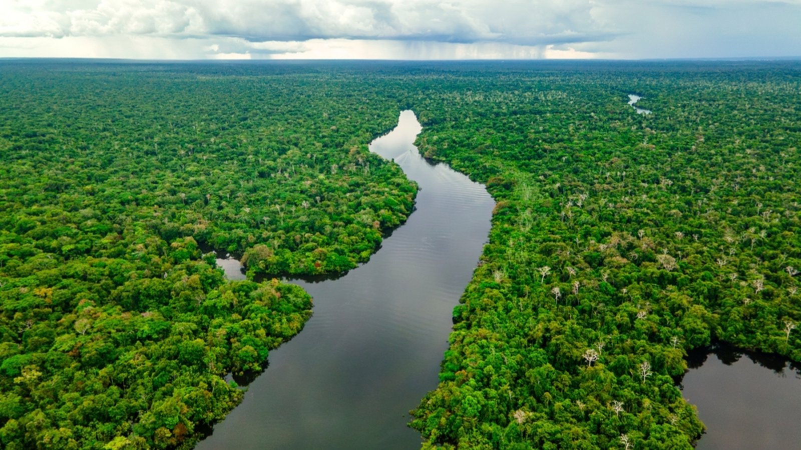 Staffel 5 von "7 vs. Wild" bringt die Teilnehmer offenbar in den Amazonas.Foto: Jhampier Giron M/ Shutterstock