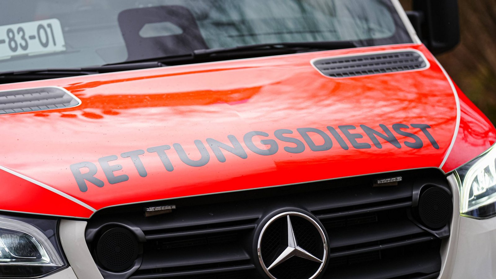 Eine Frau ist in einem Wald in Burladingen (Zollernalbkreis) von ihrem eigenen Kleinbus eingeklemmt worden und gestorben (Symbolfoto).Foto: IMAGO/Eibner/IMAGO/Eibner-Pressefoto/Marcel von Fehrn