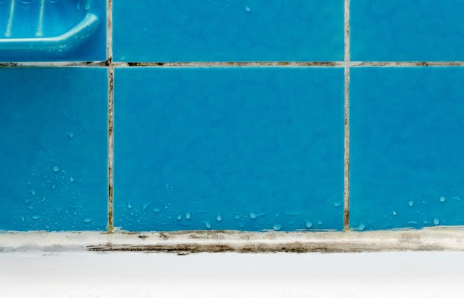 Hier zeigen wir Ihnen, wie Sie einfach und nachhaltig Schimmel aus Fugen entfernen. Die wichtigsten Tipps im Überblick.<span class='image-autor'>Foto: Nadisja / Shutterstock.com</span>