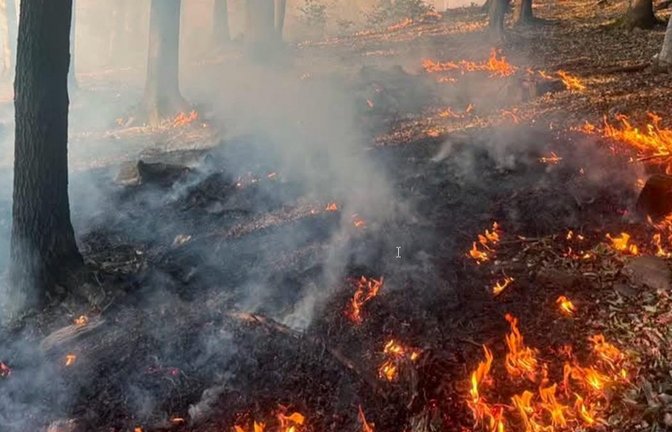 Auf dem ausgetrockneten Boden breiten sich die Flammen aus.