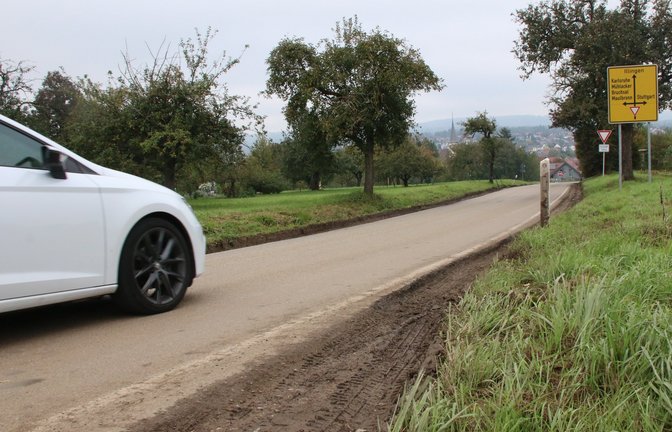 Die Straße zwischen Roßwag und Illingen wurde zuletzt deutlich in Mitleidenschaft gezogen. Mitunter liegt der Streifen neben der Fahrbahn mehr als zehn Zentimeter tiefer als die Straße selbst.  <span class='image-autor'>Fotos: Müller</span>