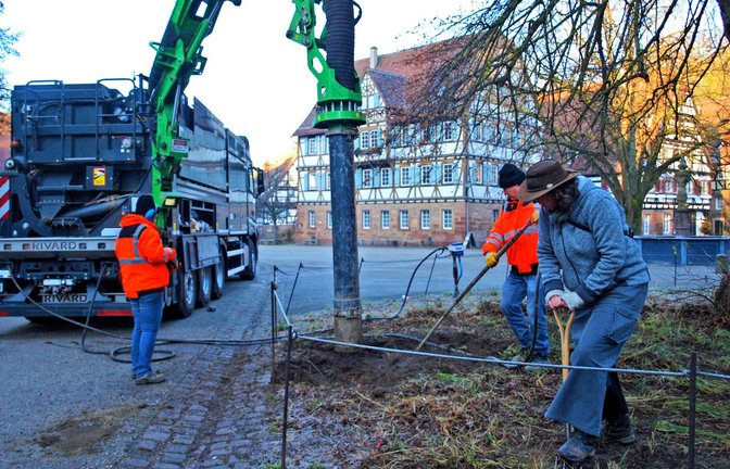 Ferngesteuert von Judith Hoffmann (links) saugt der Saugbagger die vorher gelockerte Erde rund um den Baumstamm auf.  <span class='image-autor'>Fotos: Filitz</span>