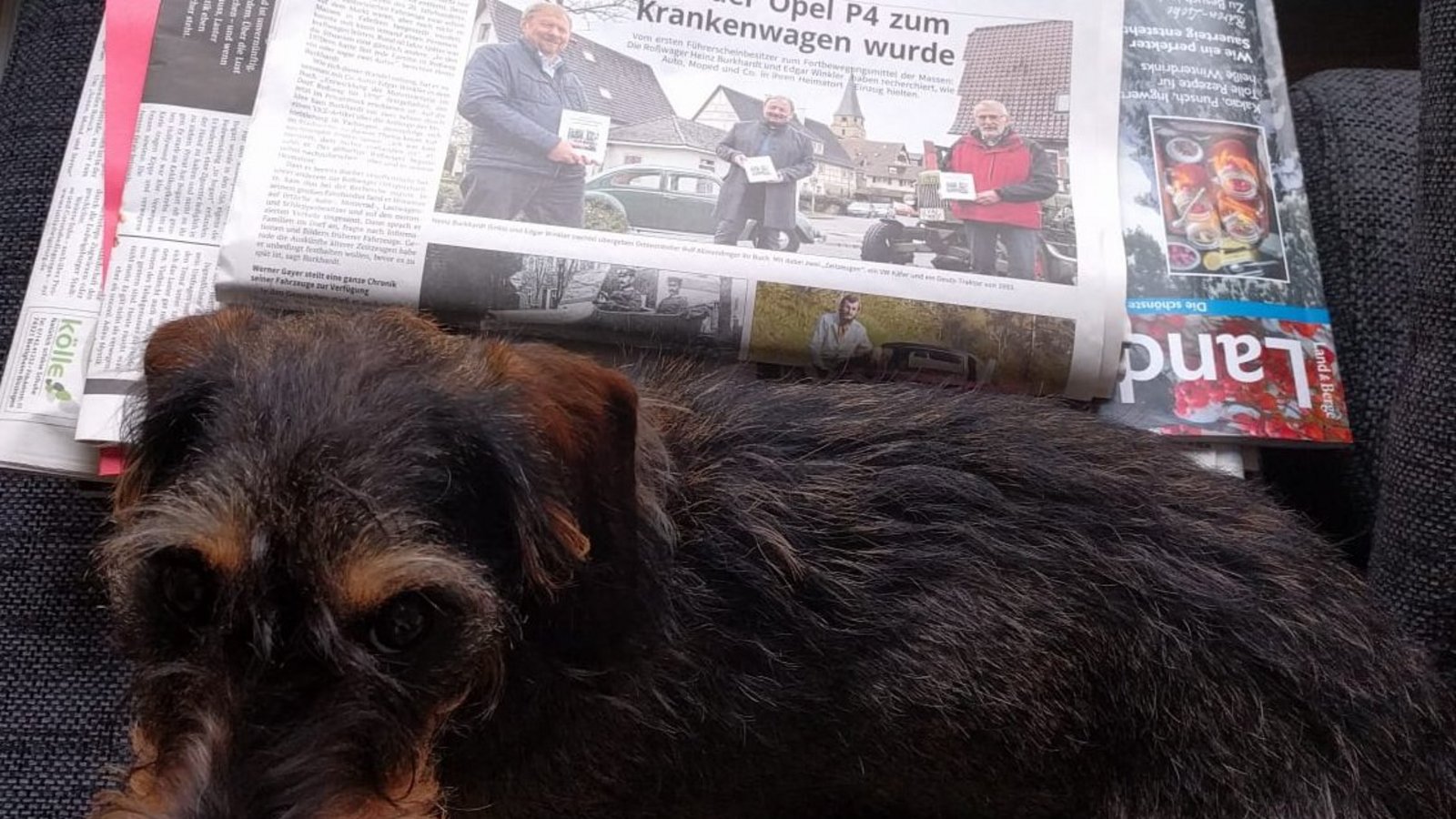 Junghündin Ida, die Wächterin der VKZ. Foto: Schönbach