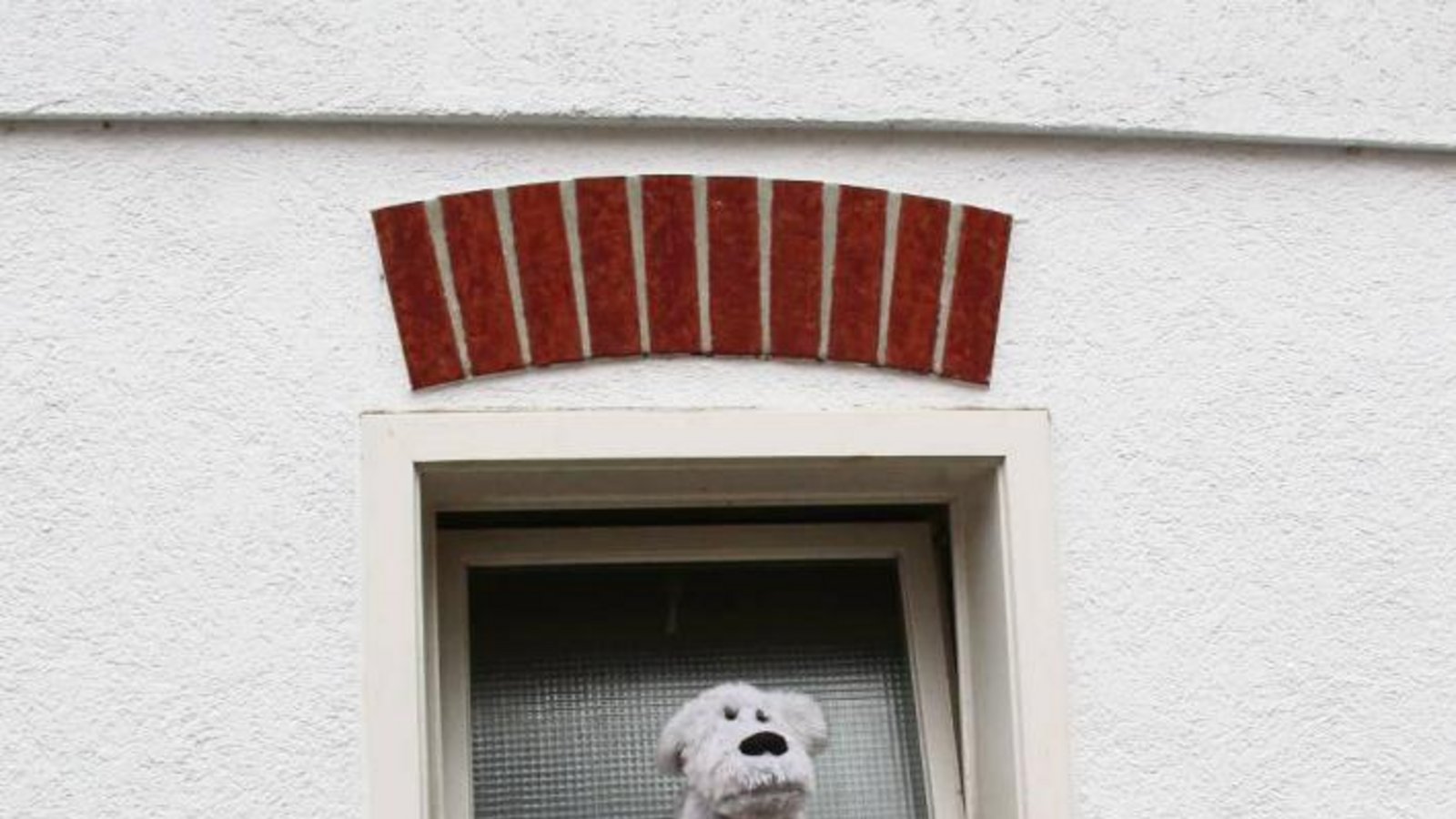 Dieser Schützinger Wachhund passt bei jedem Wetter auf.  Foto: Rostek