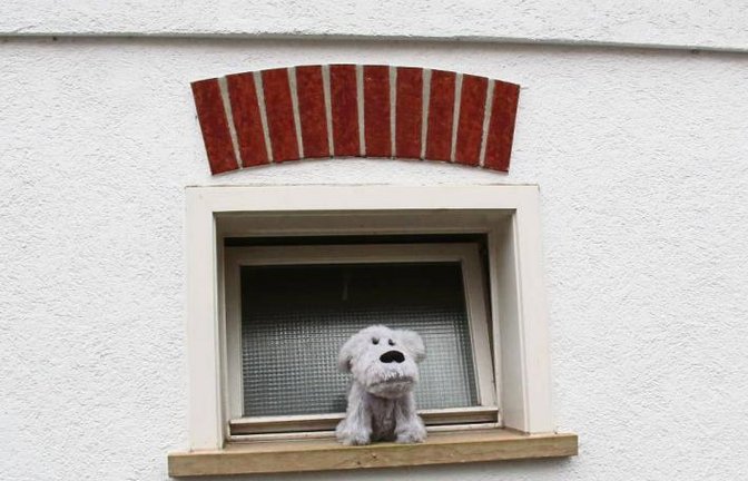 Dieser Schützinger Wachhund passt bei jedem Wetter auf.  Foto: Rostek