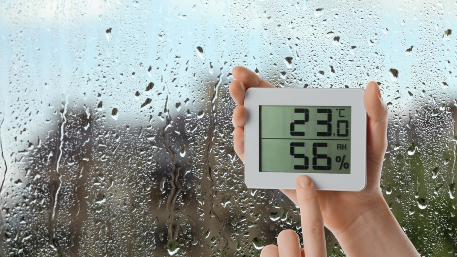 Anhaltendes Regenwetter sorgt aktuell für hohe Luftfeuchtigkeit in deutschen Wohnungen. Erfahren Sie 8 effektive Tipps, um die Luftfeuchtigkeit in Räumen zu senken (Winter & Sommer). So sorgen Sie für ein optimales Raumklima (Nässe & Schimmel vermeiden).Foto: New Africa / Shutterstock.com