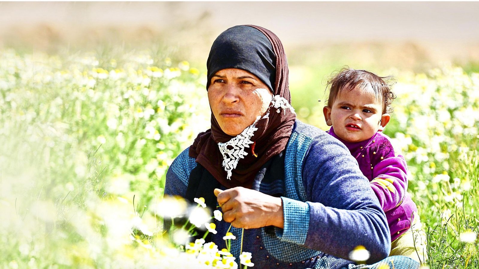 Das Kamillenfeld bietet Frauen aus dem Dorf Arbeit vor Ort.Foto: Ge/hard von Kapff