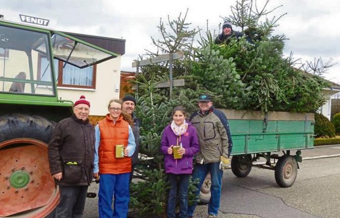 In vielen 0rten waren am vergangenen Samstag ehrenamtliche Helfer unterwegs, um die ausgedienten Weihnachtsbäume gegen eine geringe Gebühr einzusammeln. Auch in Illingen waren fünf Schleppergespanne im Einsatz. Die 30 Helfer des Posaunenchores haben mit viel Eifer die bereitgestellten Bäume eingesammelt.  Foto: Bauer