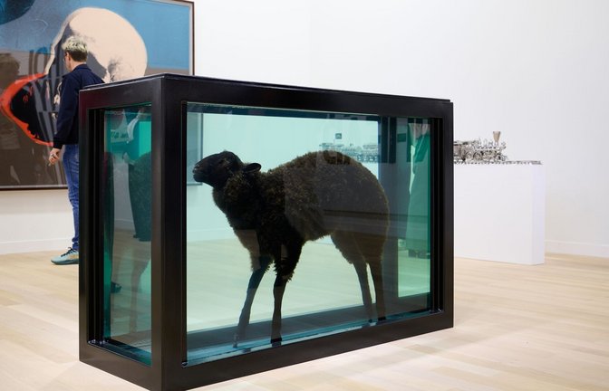 Museal: Damien Hirsts in Formaldehyd konservatives Schaf bei Gagosian auf der Art Basel 2026<span class='image-autor'>Foto: Gagosian Courtesy of Art Basel</span>