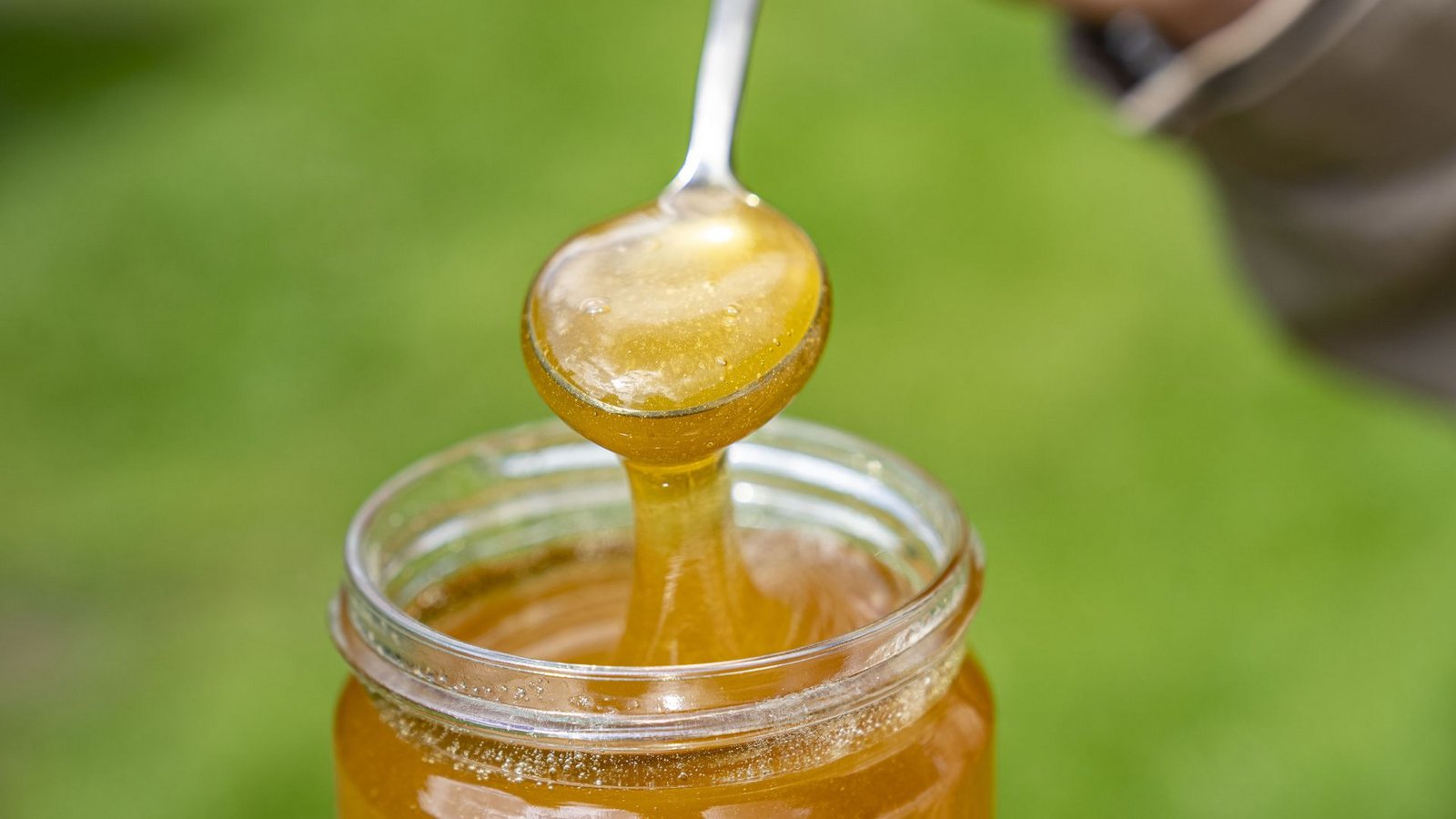 Baden-Württemberg entwickelt sich zum Land der Honigbienen (Symbolfoto).Foto: IMAGO/Funke Foto Services/IMAGO/