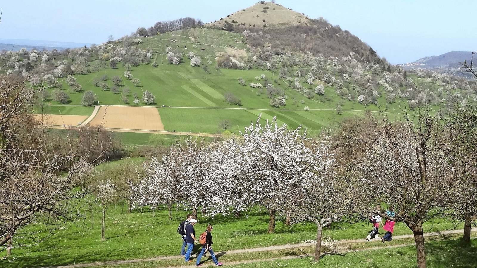 Die Limburg ist der Hausberg von Weilheim/Teck.Foto: /Jakob Panitz