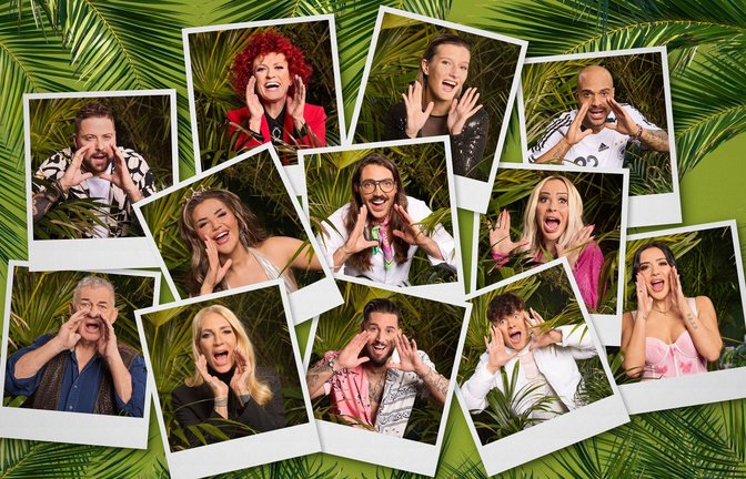 Diese mehr oder weniger Prominenten wollen den Dschungel erobern.<span class='image-autor'>Foto: RTL</span>