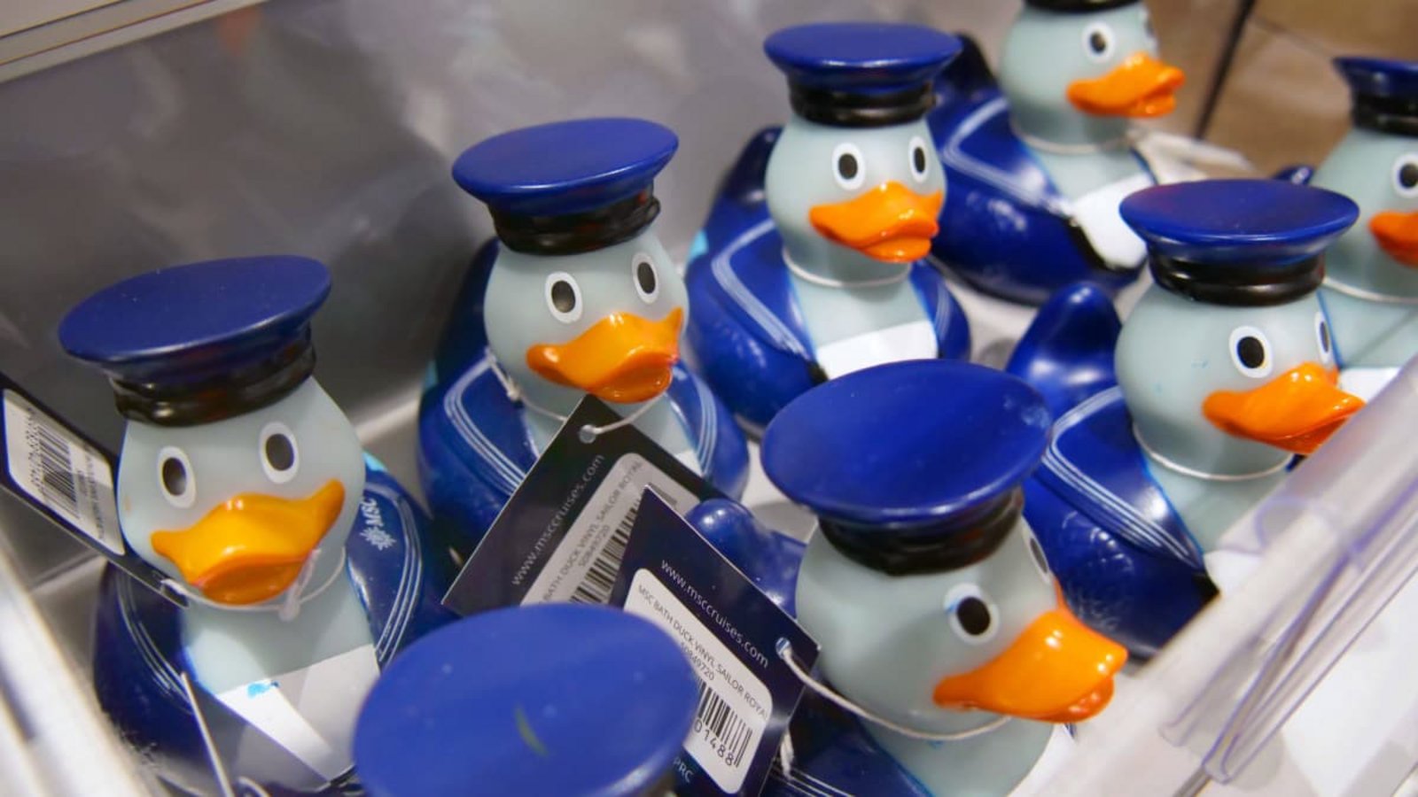 „Cruising Ducks“ auf der MSC Virtuosa.IMAGO/Martin Wagner „Cruising Ducks“ auf der MSC Virtuosa.IMAGO/Martin Wagner