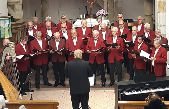 Der MGV Vaihingen-Horrheim – hier beim Auftritt im vergangenen Jahr in der Horrheimer Clemenskirche – intoniert am Sonntag die „Alpenländische Messe“ in Vaihingen.  Archivfoto: p