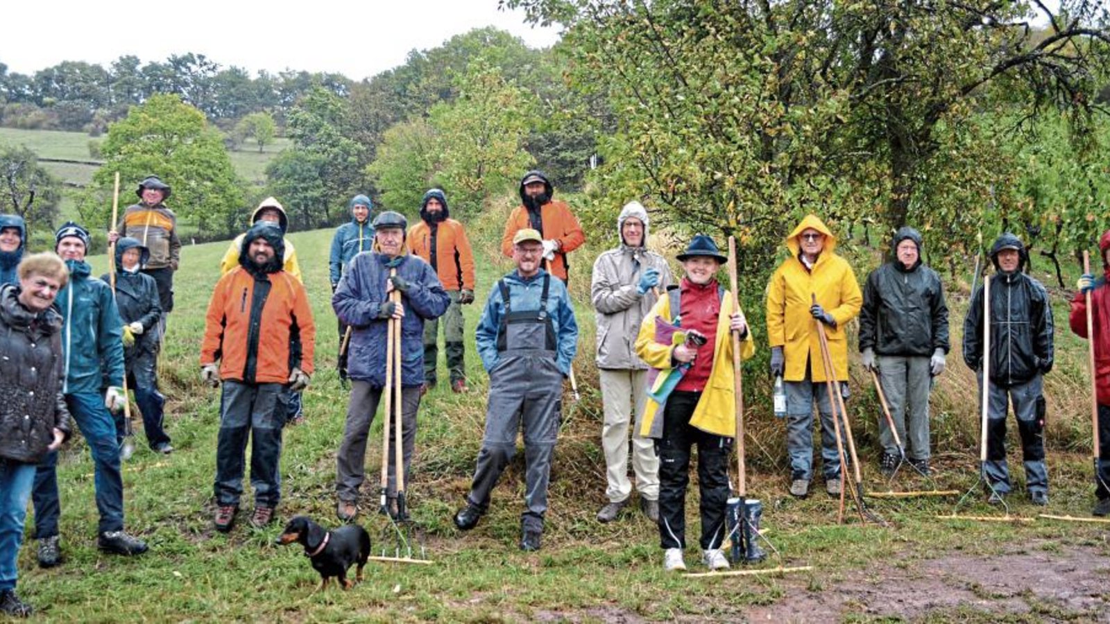 Mit ihrem jährlichen Pflegeeinsatz tragen die Mitglieder des Schwäbischen Albvereins zum Erhalt des Magerrasens bei, der ein wertvolles Biotop darstellt. Fotos: Stahlfeld Mit ihrem jährlichen Pflegeeinsatz tragen die Mitglieder des Schwäbischen Albvereins zum Erhalt des Magerrasens bei, der ein wertvolles Biotop darstellt. Fotos: Stahlfeld