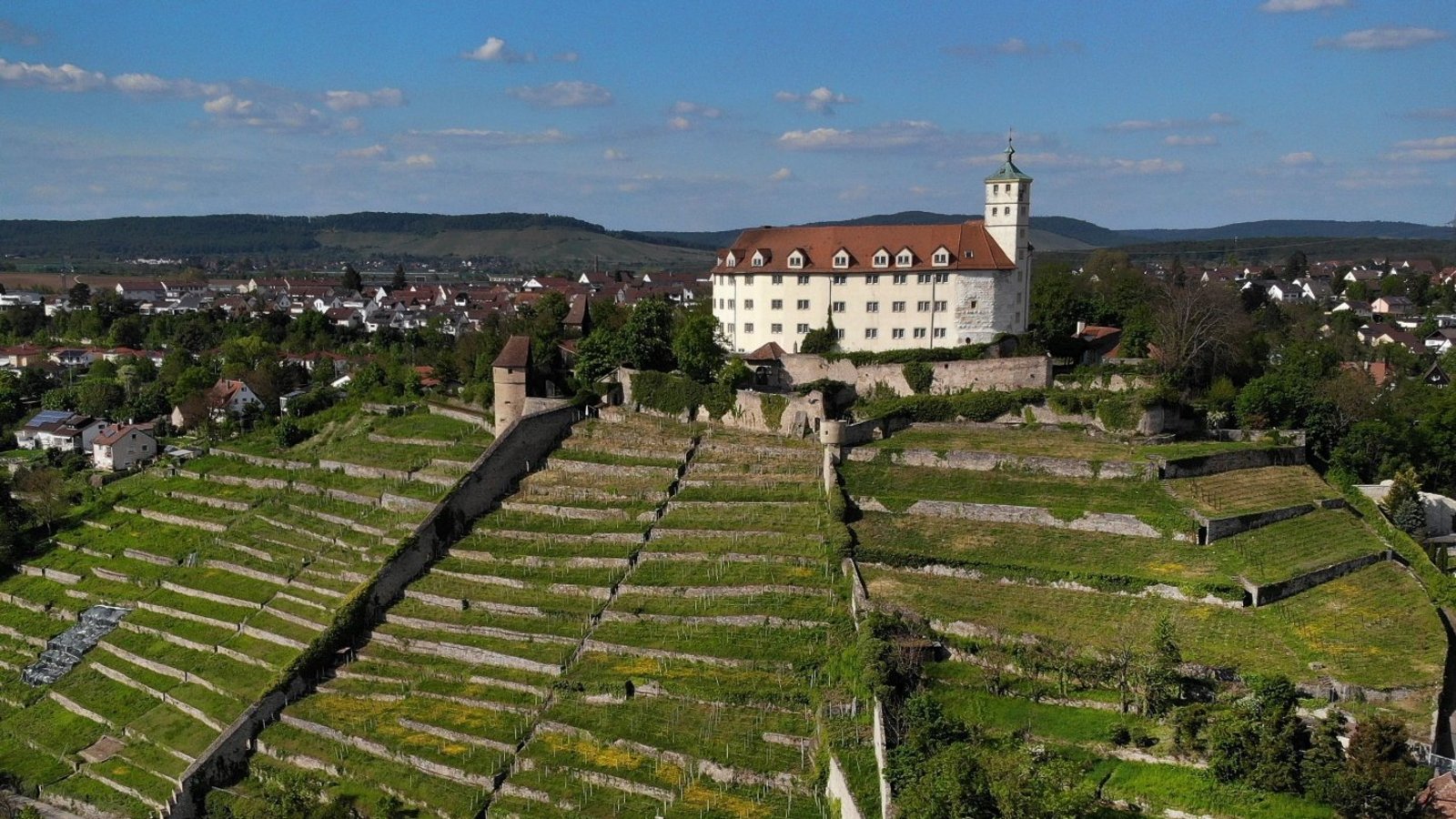 Die terrassierten Steillagen entlang der Enz sollen erhalten werden. Archivfoto: VKZ/Küppers