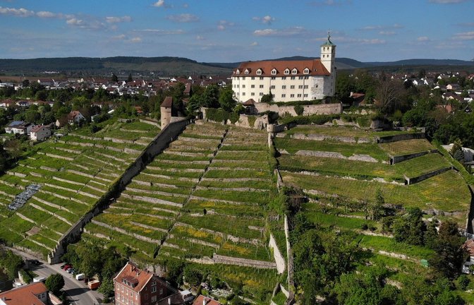 Die terrassierten Steillagen entlang der Enz sollen erhalten werden. Archivfoto: VKZ/Küppers