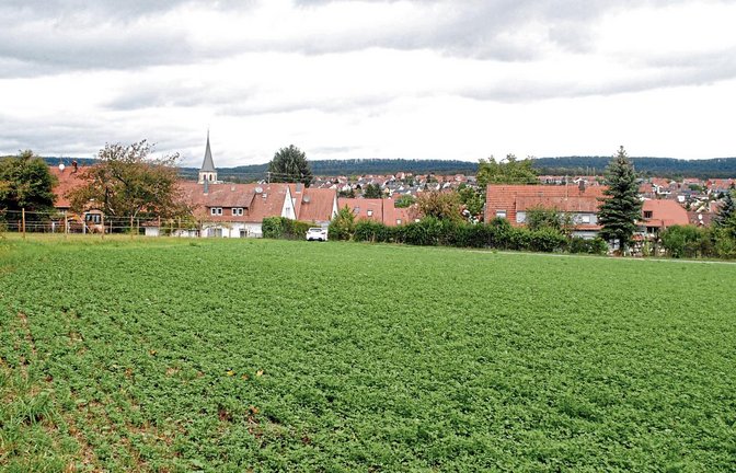 Das Baugebiet in der Lerchenstraße in Illingen nimmt zumindest planerisch allmählich Form an.  Foto: Stahlfeld