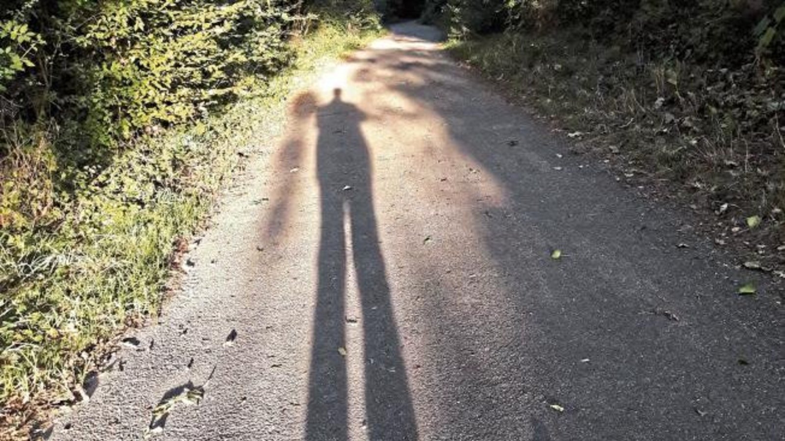 Die Morgen der langen Schatten haben begonnen.  Foto: Rücker