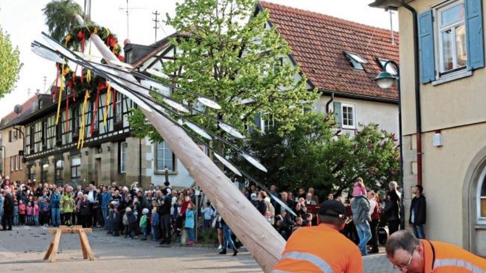 Er ist 20 Meter hoch, dazu kommen weitere fünf Meter mit der grünen Spitze. Damit ist der Eberdinger Maibaum, der jedes Jahr in einem anderen Teilort aufgestellt wird, einer der größten in der Region. Am Dienstagabend wurde er von Mitarbeiterrn des Bauhof Er ist 20 Meter hoch, dazu kommen weitere fünf Meter mit der grünen Spitze. Damit ist der Eberdinger Maibaum, der jedes Jahr in einem anderen Teilort aufgestellt wird, einer der größten in der Region. Am Dienstagabend wurde er von Mitarbeiterrn des Bauhof