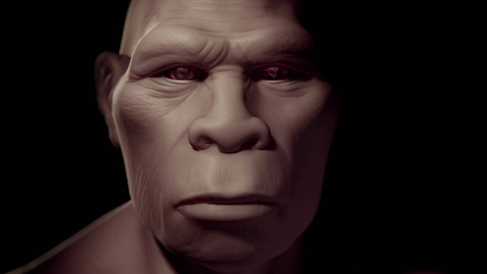 Homo erectus gilt als die erste Menschenart, die Afrika verließ und den eurpäischen und asiatischen Kontinent besiedelte.Foto: Imago/SuperStock Homo erectus gilt als die erste Menschenart, die Afrika verließ und den eurpäischen und asiatischen Kontinent besiedelte.Foto: Imago/SuperStock