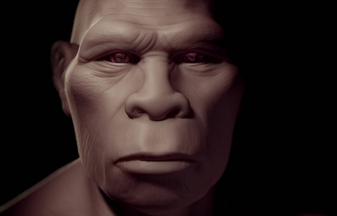 Homo erectus gilt als die erste Menschenart, die Afrika verließ und den eurpäischen und asiatischen Kontinent besiedelte.<span class='image-autor'>Foto: Imago/SuperStock</span>
