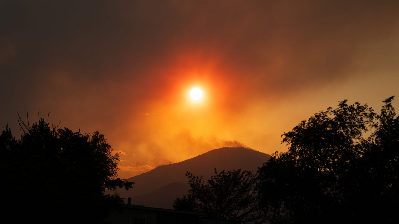 Ein Waldbrand in Utah hat sich weiter ausgebreitet.Foto: Charles Mcclintock Wilson/ZUMA Press Wire/dpa