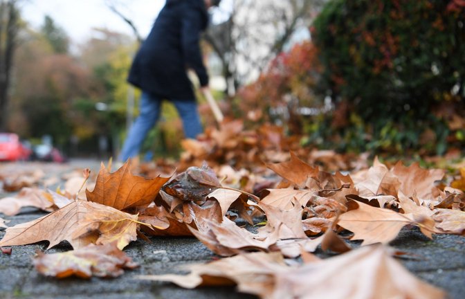 Laubhaufen sind nicht nur Abfall: Heruntergefallenes Laub bietet Igeln und anderen kleinen Säugetieren sowie Insekten, Reptilien und Amphibien einen Unterschlupf für Herbst und Winter.<span class='image-autor'>Foto: dpa/Arne Dedert</span>