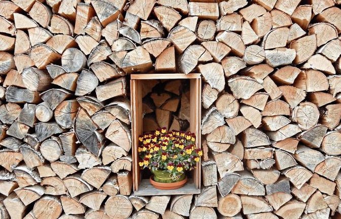 Ein Brennholzstapel kann auch blühen. Gesehen in Vaihingen.  Foto: Arning