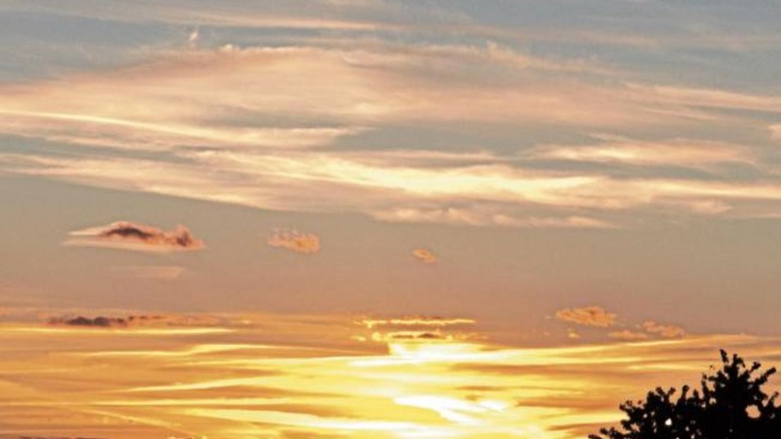 Toller Ausblick beim Abendspaziergang. Foto: Martin