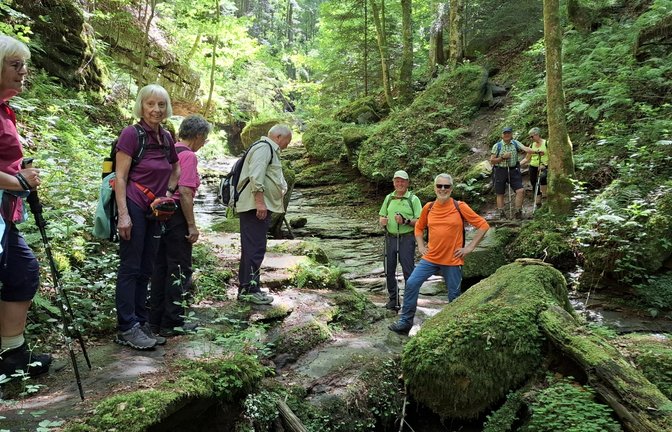 Auf verschlungenen Pfaden geht es für die Enzweihinger durch die Wolfsschlucht. <span class='image-autor'>Foto: p</span>