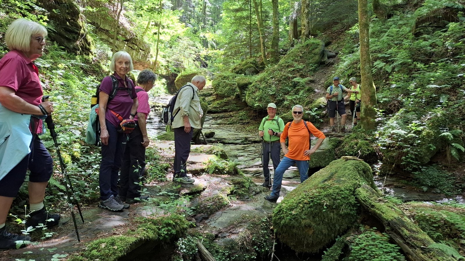 Auf verschlungenen Pfaden geht es für die Enzweihinger durch die Wolfsschlucht. Foto: p