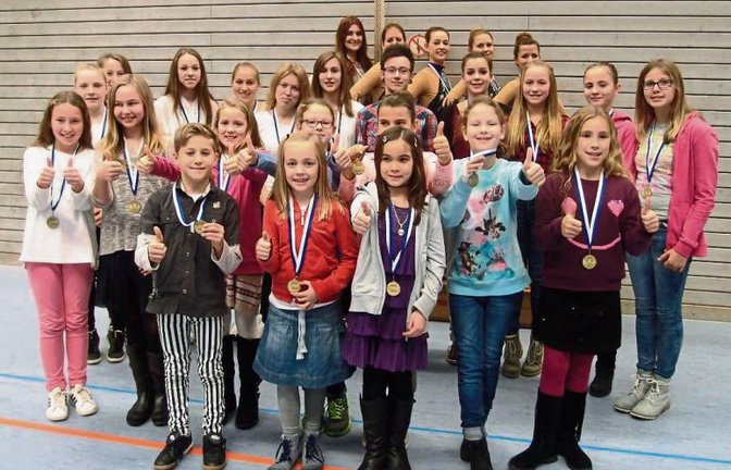 Die Geehrten des TV Sersheim Foto: privat
