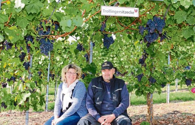 Pause bei der Lese: Kerstin und Dieter Faigle machen es sich auf der Trollingersitzecke in den Horrheimer Weinbergen bequem. Weingut-Chef Faigle hat den Rastplatz, der auch gerne von Spaziergängern genutzt wird, selbst gebaut. „Wenn wir schon zweimal den Trollinger-Preis erhalten haben, dann müssen wir auch eine Trollingersitzecke haben“, so Dieter Faigle. Foto: Bögel