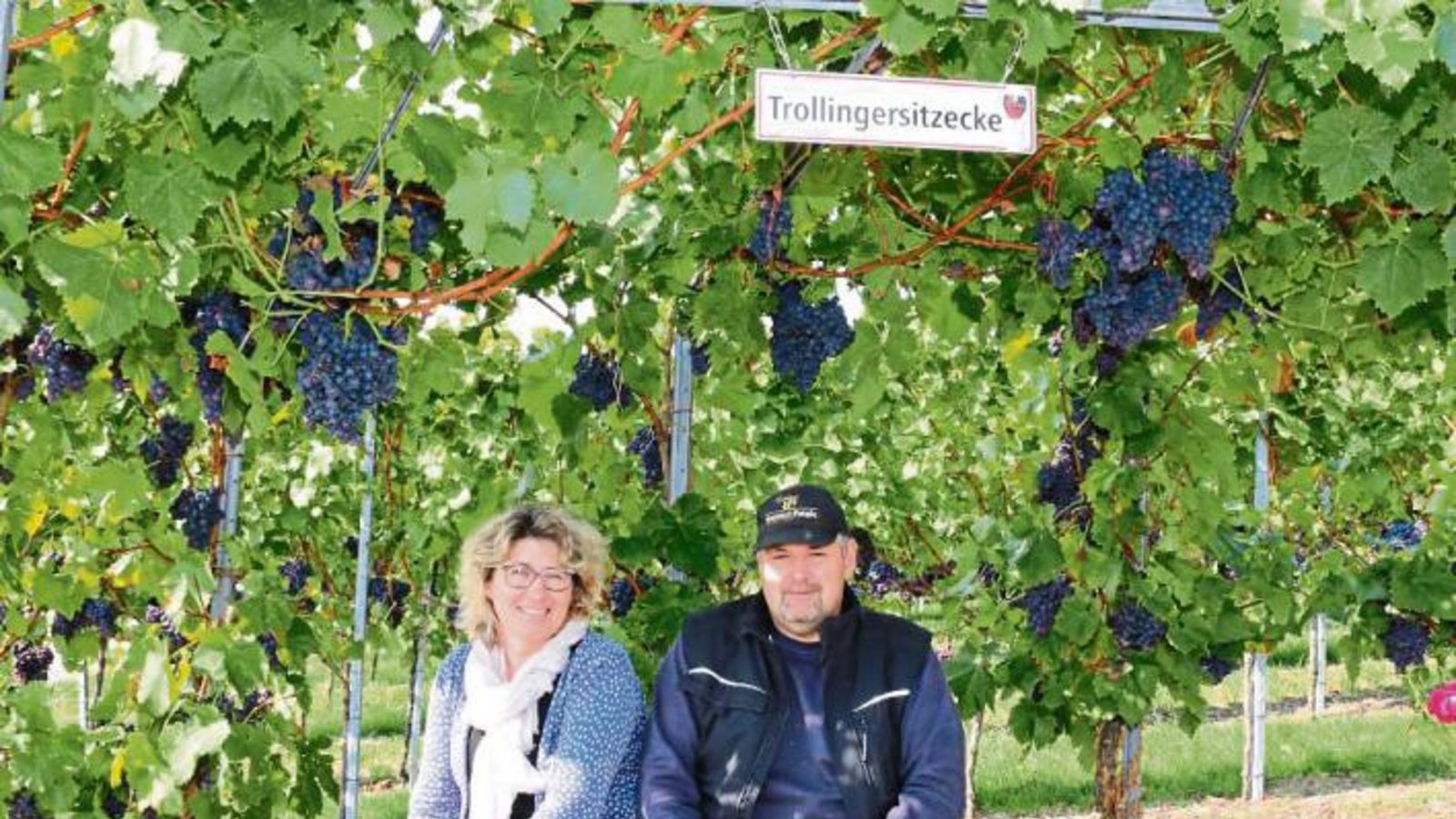 Pause bei der Lese: Kerstin und Dieter Faigle machen es sich auf der Trollingersitzecke in den Horrheimer Weinbergen bequem. Weingut-Chef Faigle hat den Rastplatz, der auch gerne von Spaziergängern genutzt wird, selbst gebaut. „Wenn wir schon zweimal den Trollinger-Preis erhalten haben, dann müssen wir auch eine Trollingersitzecke haben“, so Dieter Faigle. Foto: Bögel