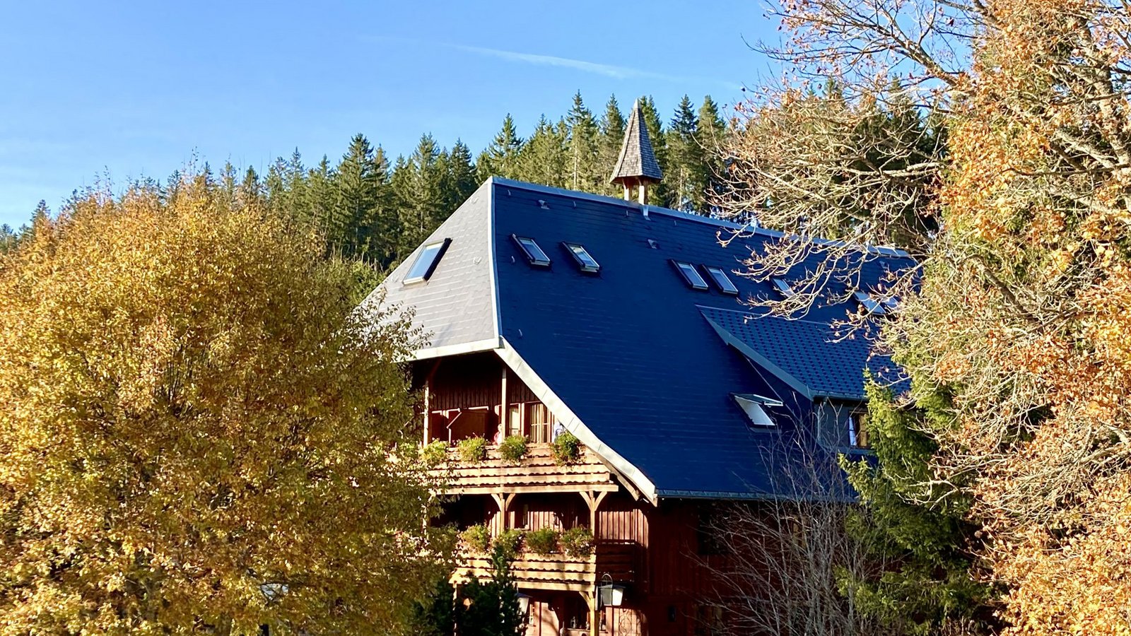 Traumhafte Kulisse mit Schwarzwaldhaus: die Mühle SchluchseeFoto: Matthias Ring