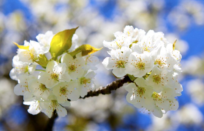 Wann wird es wieder wärmer? Ein Überblick über die aktuelle Wetterlage in Deutschland und die Aussichten für die kommenden Tage.<span class='image-autor'>Foto: Jopics / Shutterstock.com</span>