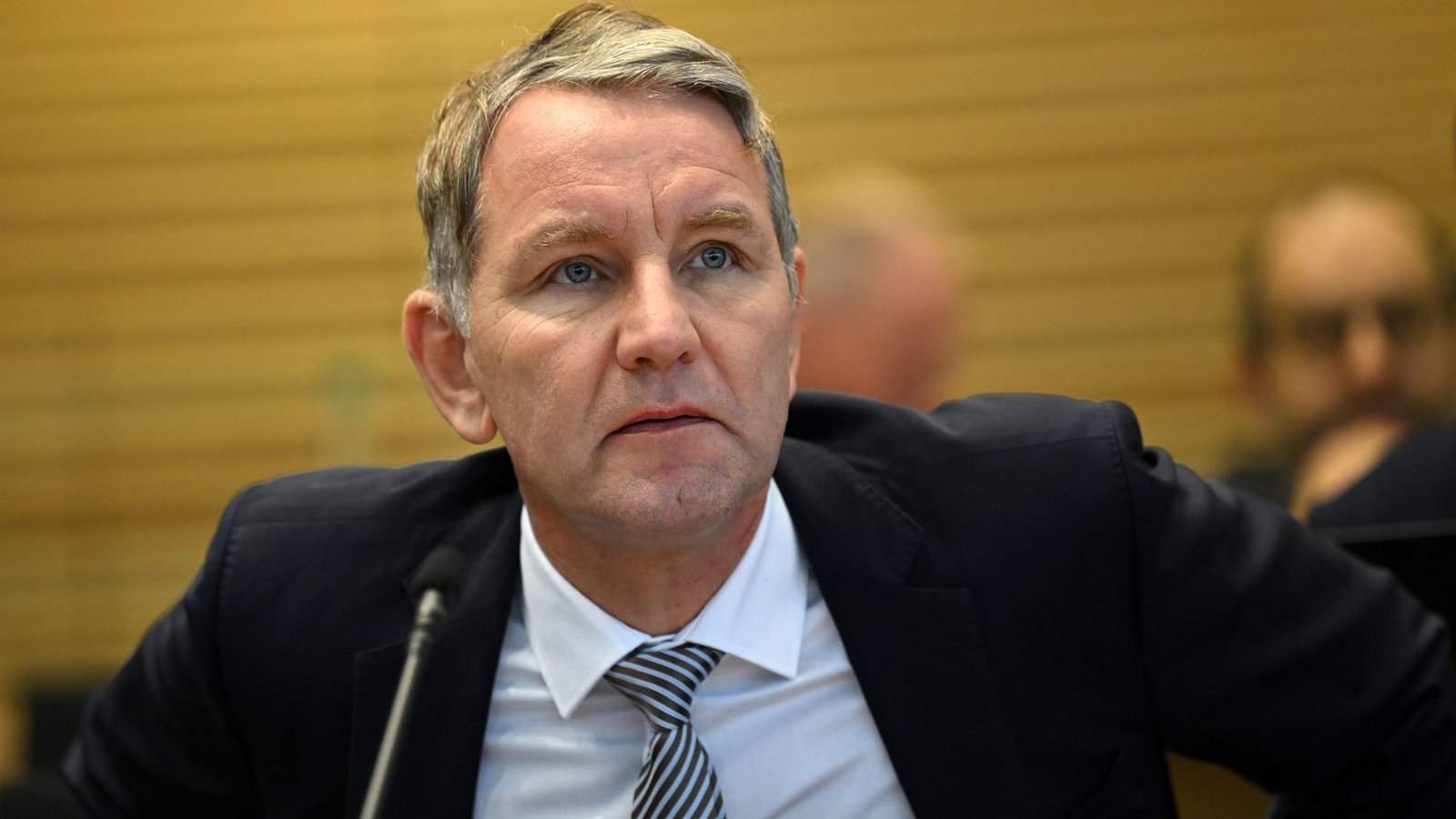 Eine Petition richtet sich  gegen den Thüringer AfD-Partei- und Fraktionschef Björn Höcke. (Archivbild)Foto: dpa/Martin Schutt
