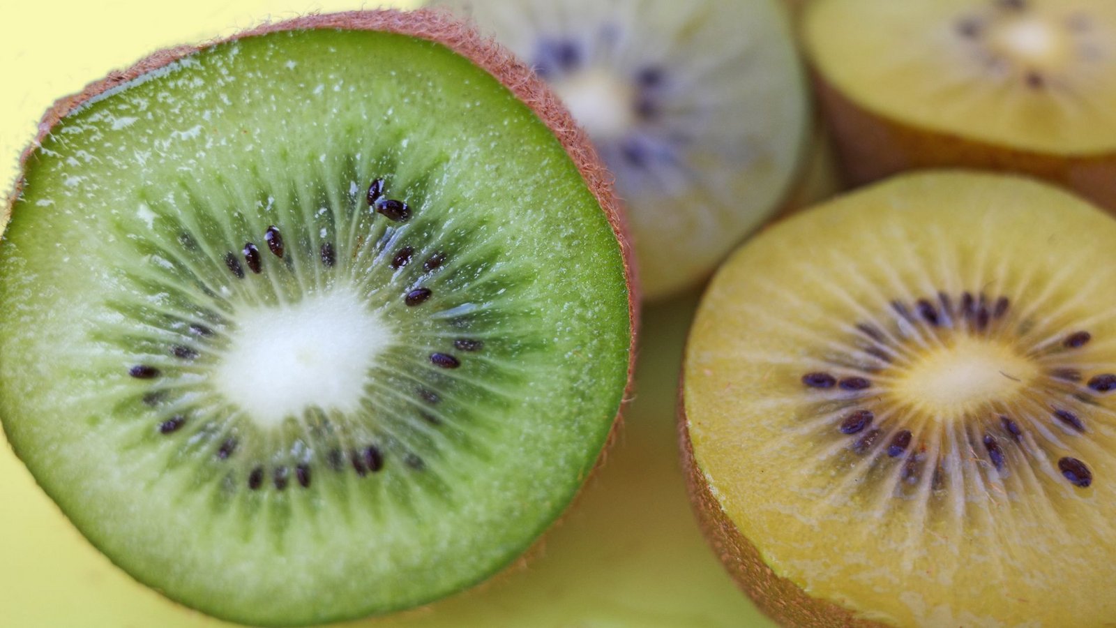 Die gelbe Kiwi ist beliebt: Sie wird aus Neuseeland in über 54 Länder exportiert.Foto: IMAGO/Pond5 Images/IMAGO/xwolfbornindiarts244x Die gelbe Kiwi ist beliebt: Sie wird aus Neuseeland in über 54 Länder exportiert.Foto: IMAGO/Pond5 Images/IMAGO/xwolfbornindiarts244x