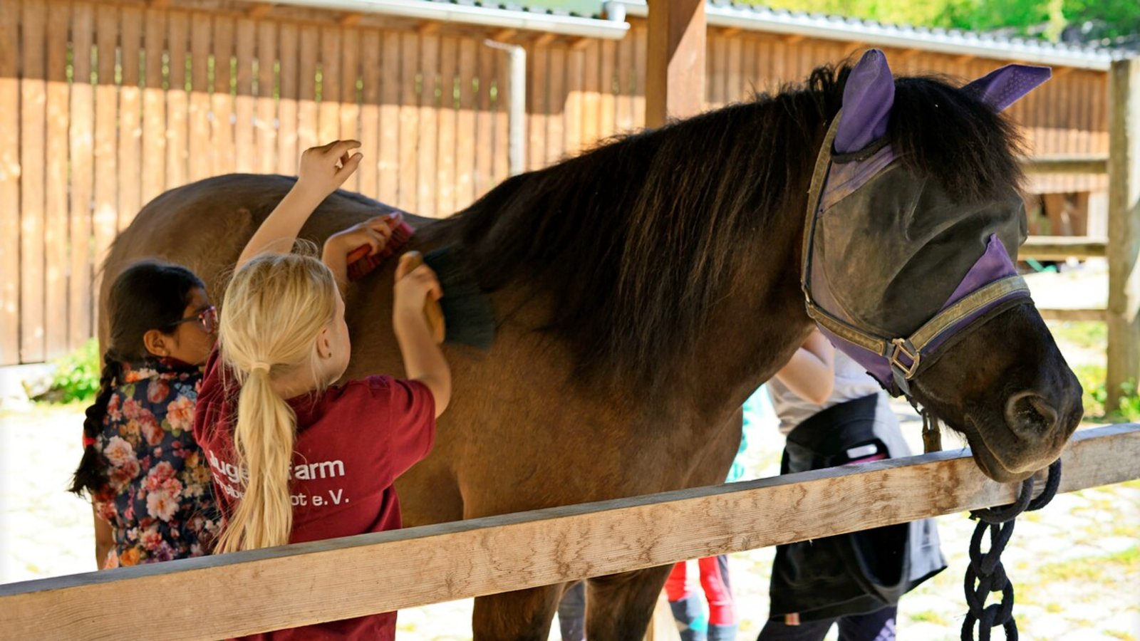 Das augenkranke Pferd Wabik beim erholt sich auf der Stuttgarter Jugendfarm Freiberg/Rot.Foto: Jugendfarm Freiberg/Rot Das augenkranke Pferd Wabik beim erholt sich auf der Stuttgarter Jugendfarm Freiberg/Rot.Foto: Jugendfarm Freiberg/Rot