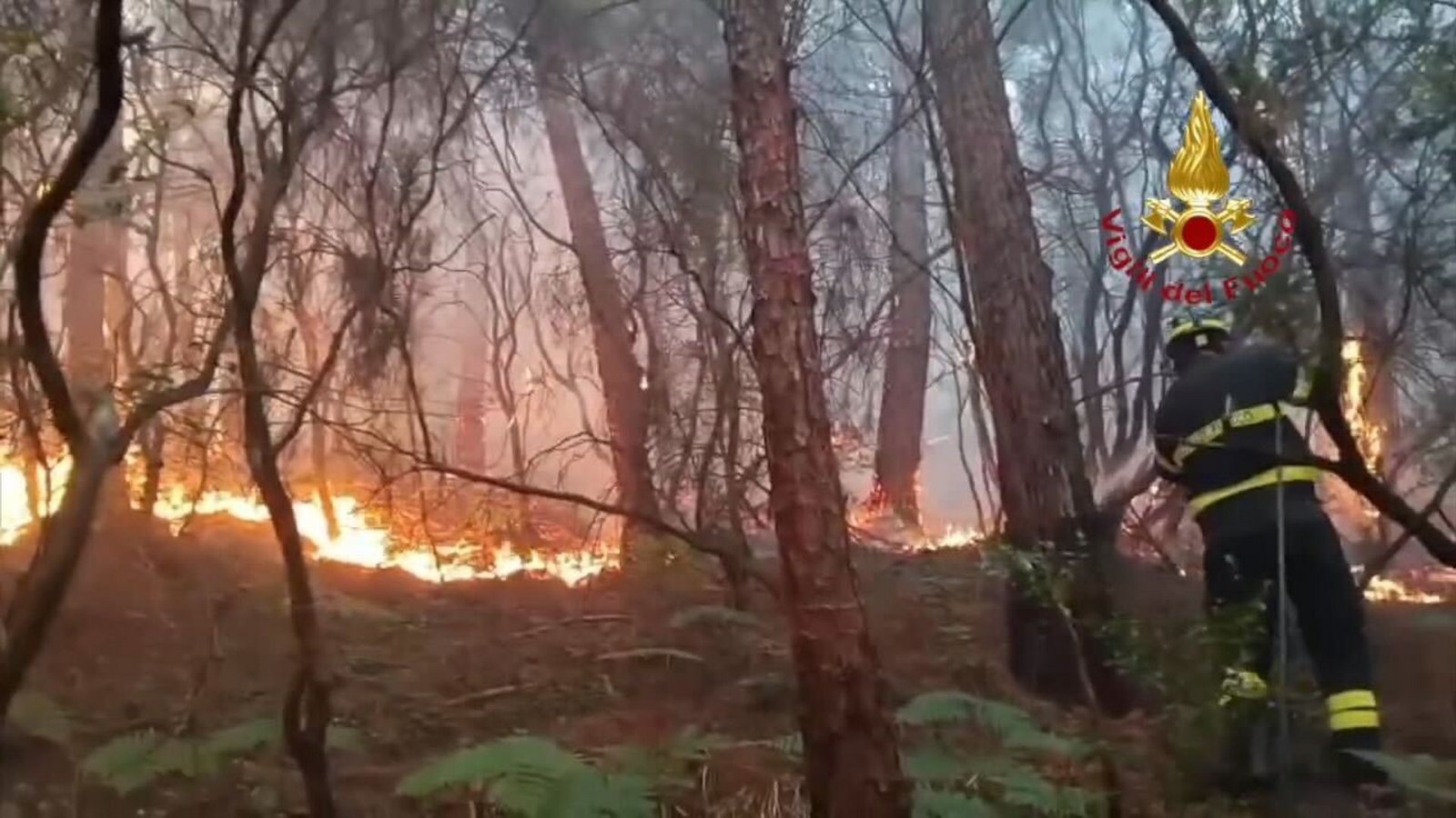 Wegen des Waldbrands haben mehr als 3.500 Menschen ihre Häuser verlassen müssen.Foto: -/Vigili del Fuoco/dpa