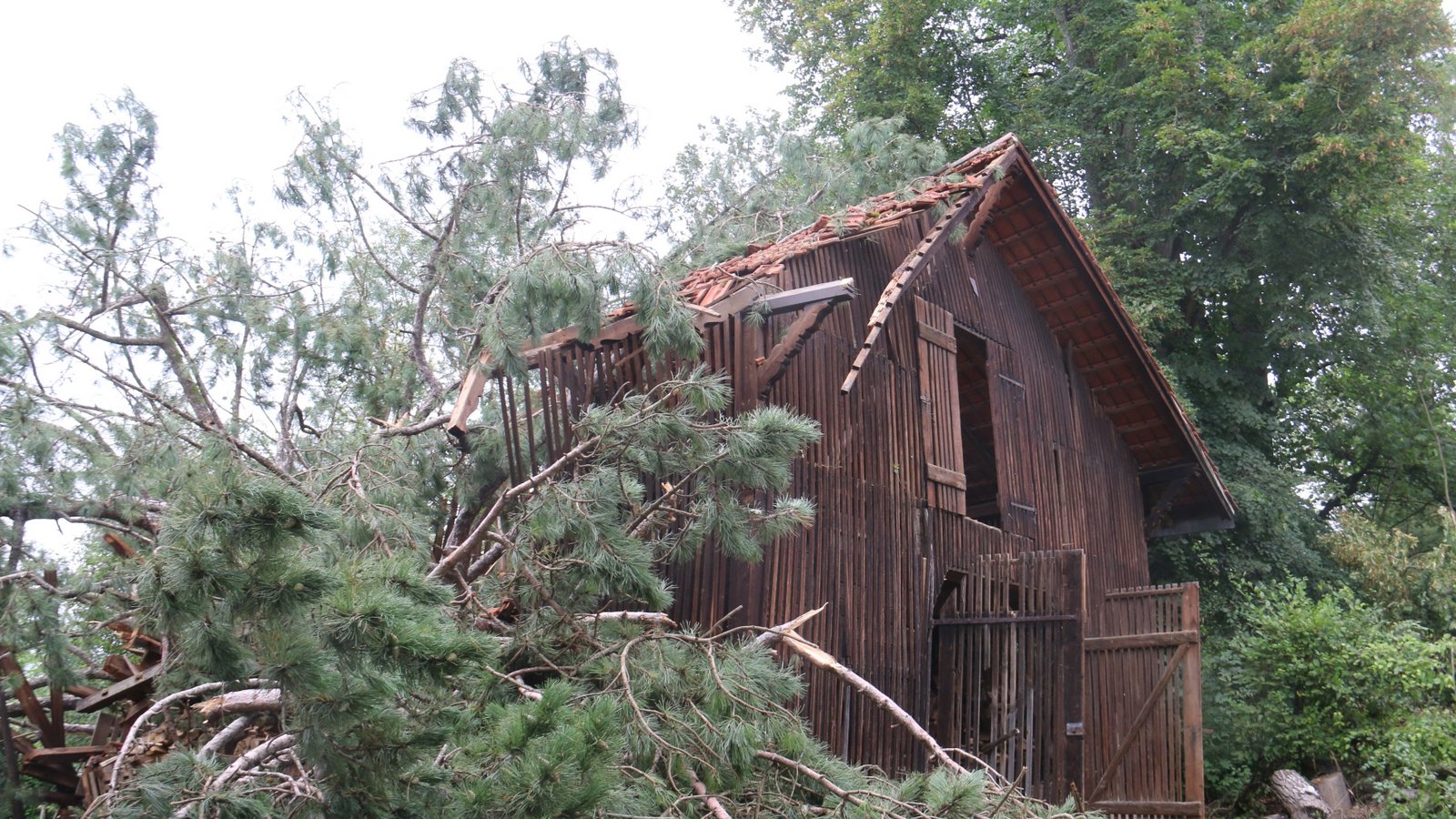 Der Holzschuppen auf dem Leinfelder Hof wurde von einer Kiefer erwischt.  Fotos: Rücker (4)