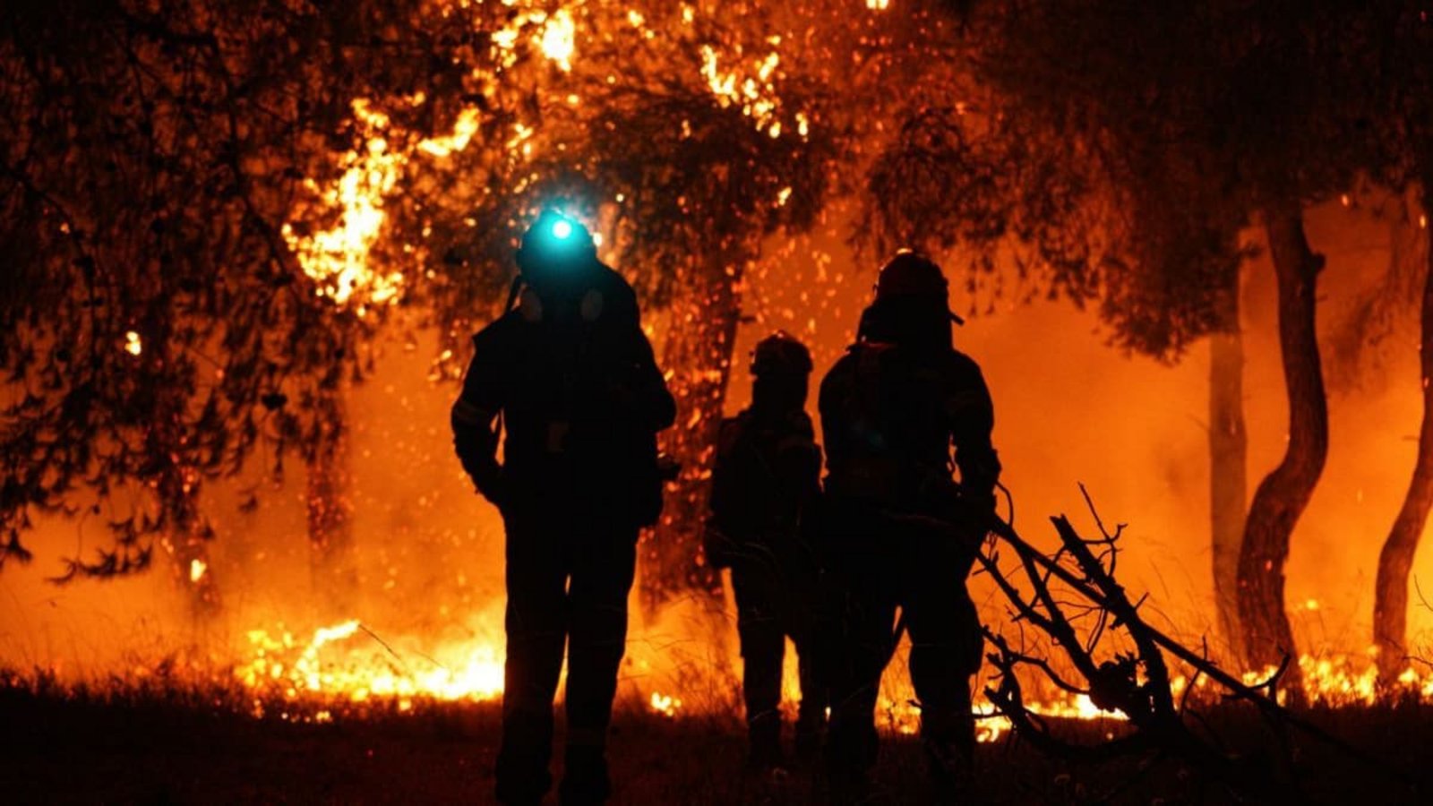 Feuerwehrleute löschen die Flammen während eines Waldbrandes in Asprochori, Oropos, Attika.Giorgos Arapekos/ZUMA Press Wire/dpa Feuerwehrleute löschen die Flammen während eines Waldbrandes in Asprochori, Oropos, Attika.Giorgos Arapekos/ZUMA Press Wire/dpa