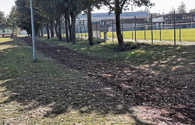 Eine Pumptrack-Anlage, Outdoor-Fitnessgeräte und ein Inklusions-Spielplatz sollen das Sersheimer Sportzentrum in naher Zukunft noch attraktiver machen.  Foto: Glemser
