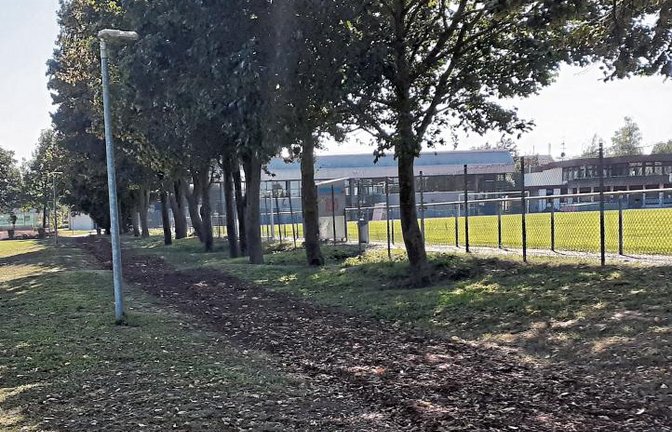 Eine Pumptrack-Anlage, Outdoor-Fitnessgeräte und ein Inklusions-Spielplatz sollen das Sersheimer Sportzentrum in naher Zukunft noch attraktiver machen.  Foto: Glemser