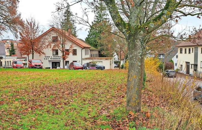 Die Gemeinde Wimsheim lässt an  der Friolzheimer Straße neben der alten TSV-Halle eine  Unterkunft für bis zu 80 Flüchtlinge   und für Obdachlose bauen.<span class='image-autor'>Foto: /Simon Granville</span>