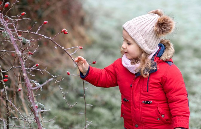 Kinder finden auch im Winter draußen vieles, womit sie sich beschäftigen können – Eltern können sie dabei unterstützen.<span class='image-autor'>Foto: IMAGO/Cavan Images</span>