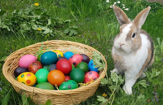 Die Chancen, am Ostersonntag im Garten bunte Eiern suchen zu können, stehen gar nicht einmal so schlecht.<span class='image-autor'>Foto: Birgit Egarter/APA/dpa/Birgit Egarter</span>