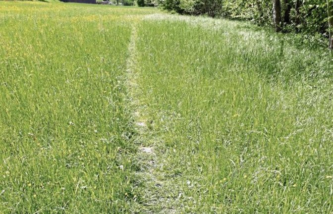 Auch wenn’s vielleicht bequem ist … Die Naturschutzabteilung der Stadt Vaihingen bittet darum, private Wiesen nicht als Trampelpfad zu benutzen. Das Mähgut wird oft als Tiernahrung verwendet und Wildtiere werden gestört. Deshalb bitte künftig die offiziellen Feldwege nutzen!  Foto: p